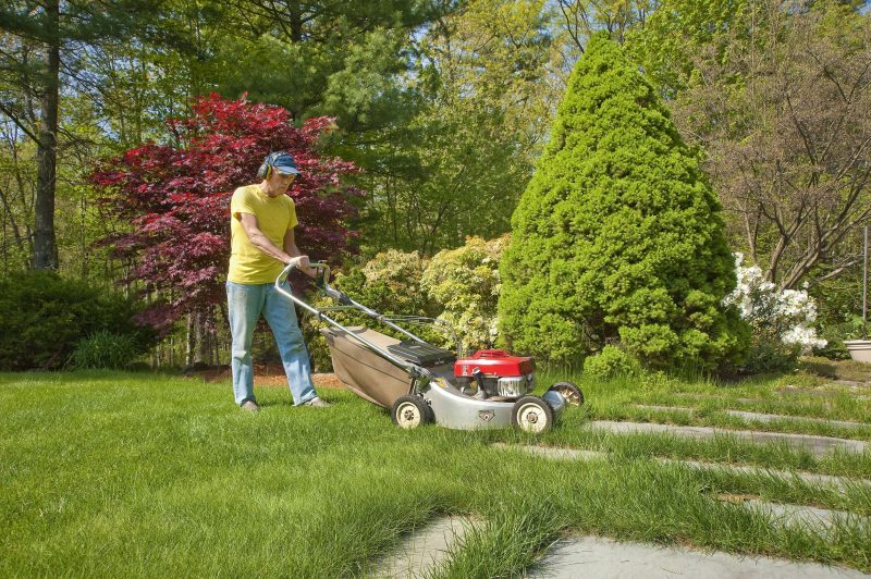 4 Reasons You Should Hire Landscapers in Waukesha WI