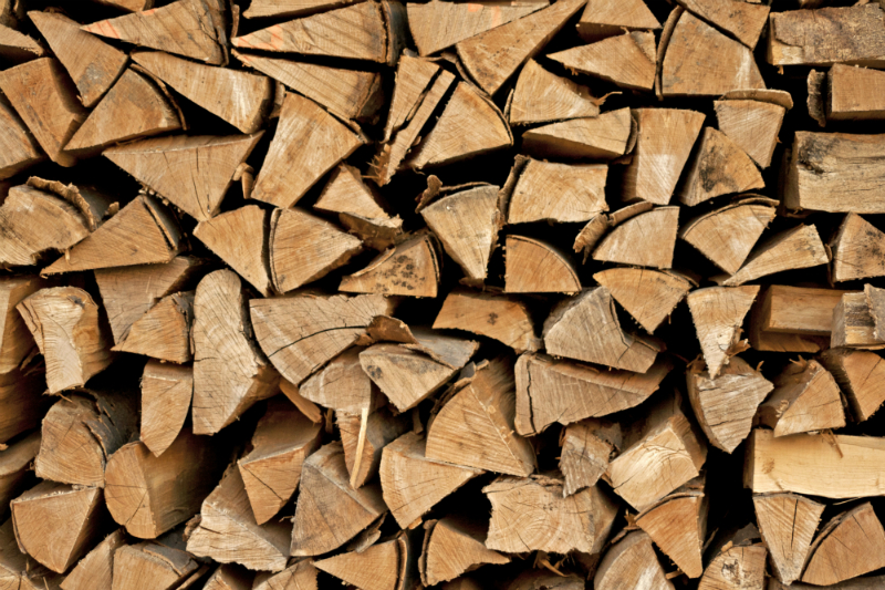 Standard Firewood vs. Kiln-Dried Firewood: Why the Latter Always Wins