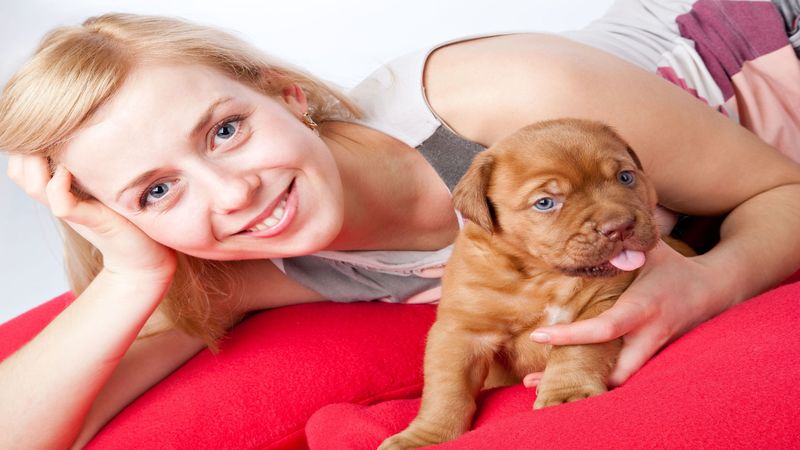 How to Choose The Best Exotic Animal Medical Care in Joppa MD