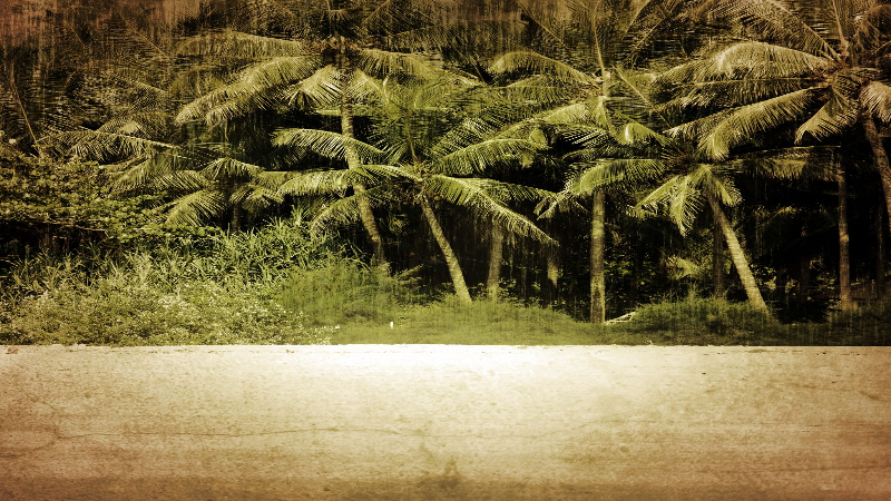 Tree Maintenance Service You Can Trust in Smyrna GA