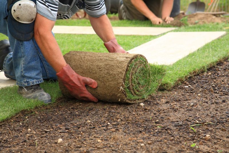 The Many Ways Hardscaping Makes Your Fort Myers Backyard More Attractive