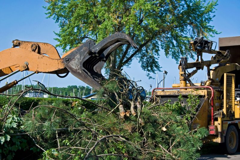 Three Reasons to Seek Professional Lot Clearing in Tampa, FL