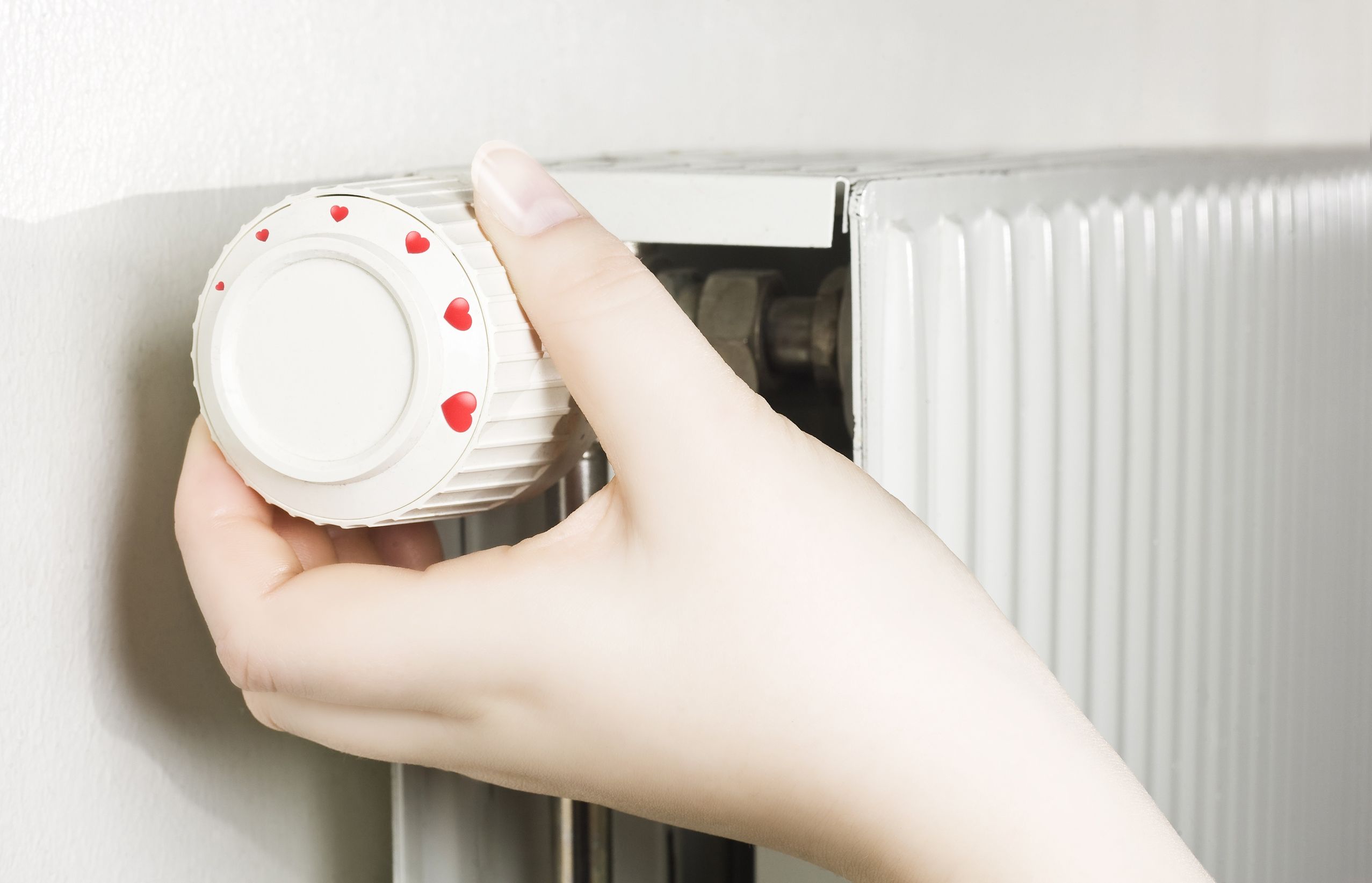 Different Types of Heating You Can Use for Your Home in Sylvania, OH