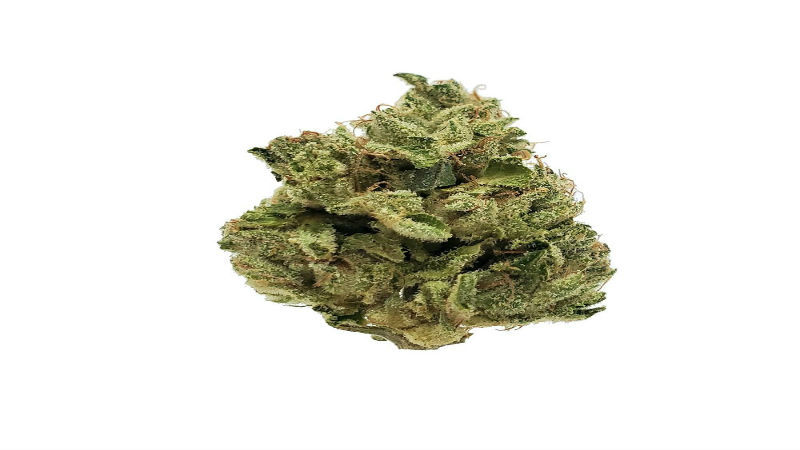 What to ask When Looking for Medical Marijuana Dispensaries in San Francisco
