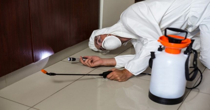 Crawl Space Encapsulation Can Improve Your Home