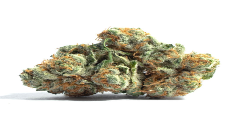 Enjoy All the Benefits of Cannabis Without the Buzz in Denver, CO