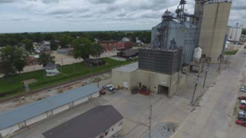 Finding the Best Livestock Feed in Buchanan County, IA