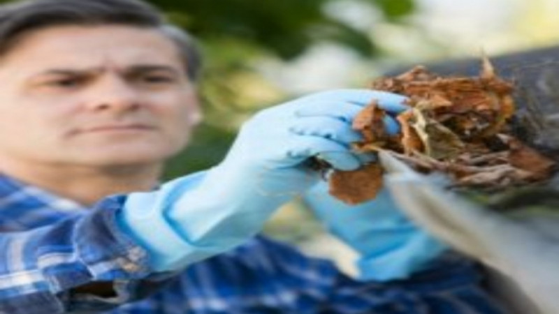Identifying The Best Commercial Roofers