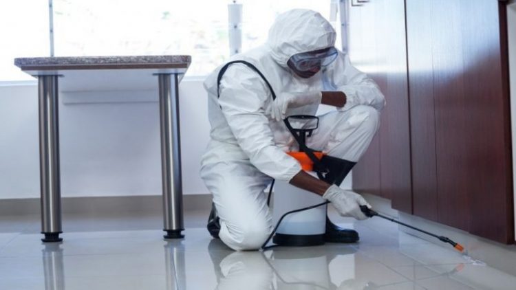 Why It’s Beneficial to Use a Pest Control Company in Detroit, MI