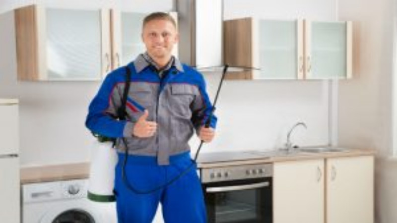Using Residential Pest Control in Peachtree City GA To Rid A Home Of Mice