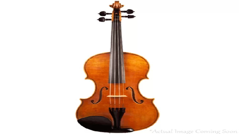Find a Professional Luthier in Atlanta, GA