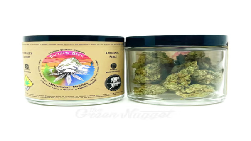 Experience the Benefits of CBD for Pets in Spokane