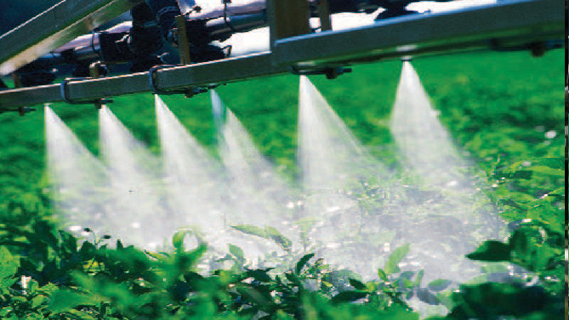 Grow Your Local Cooperative With Soil Testing in Vernon County, WI