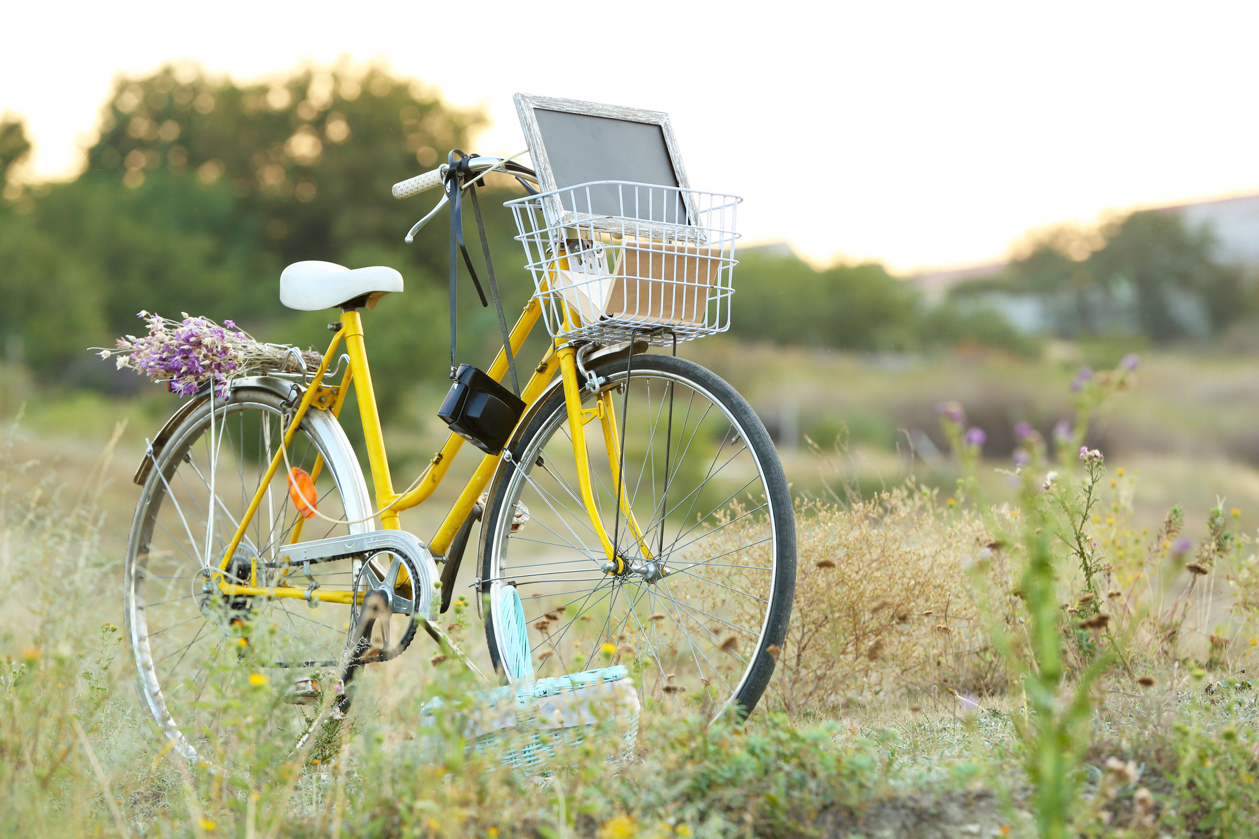 Kuat Bike in Spokane, WA