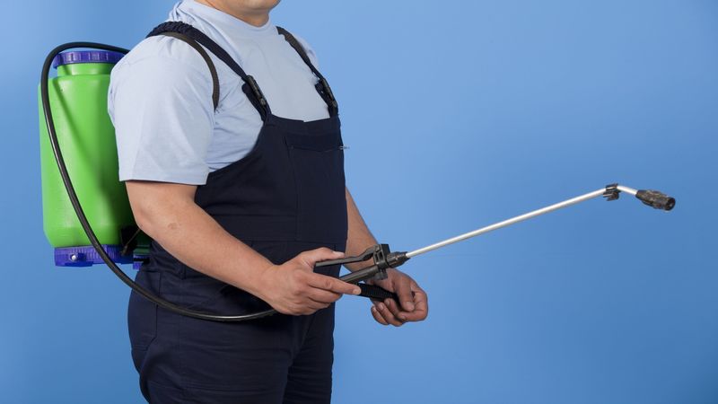 Why You Should Choose Professional Exterminators in Fort Meyers, FL