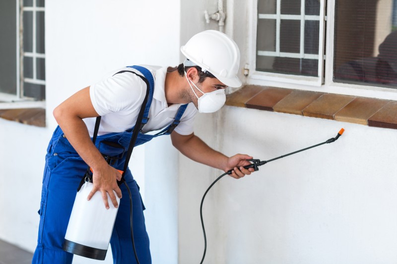 Common Signs You Need Pest Control Treatment Services in Williamsburg, VA in Your Home
