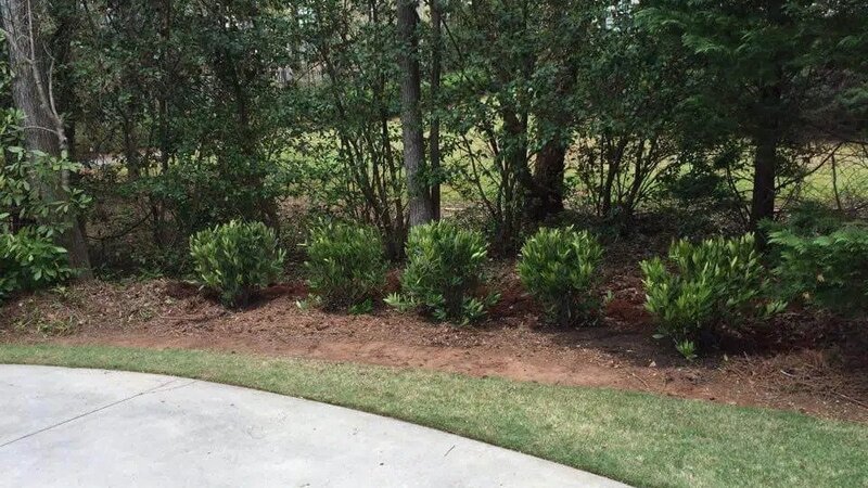 Transform Your Yard into a Dream Space with Landscape Designers Near Senoia, GA