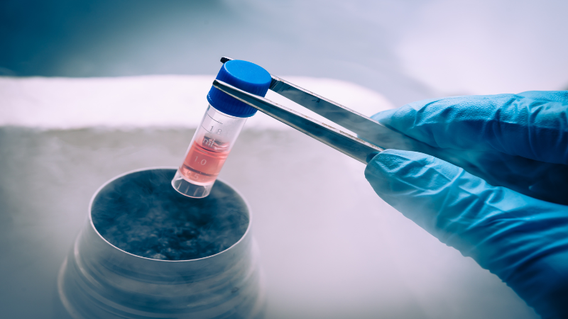 Using Affinity Purification Antibody Protocol