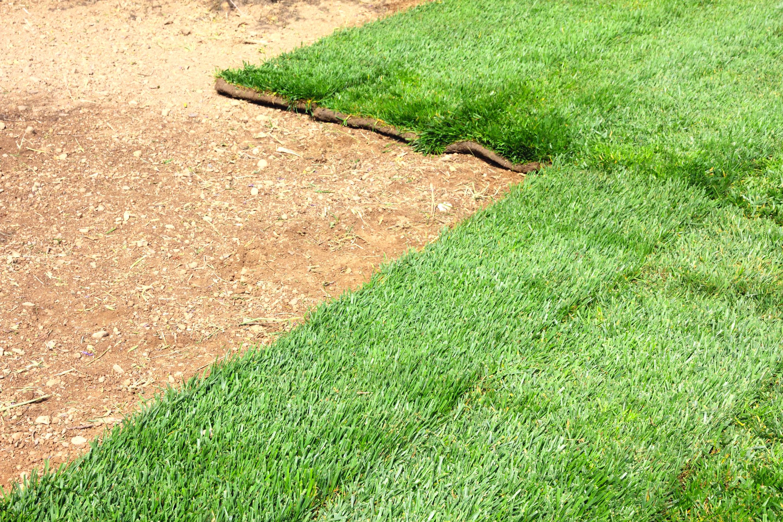 Enhancing Your Landscape With Sod for Sale in Temecula, CA