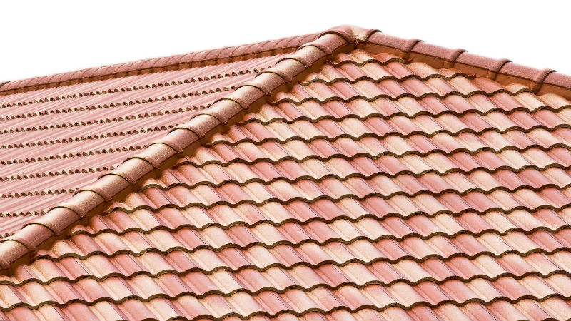 Soft Wash Roof Cleaning in Loxahatchee, FL: A Key to Maintaining the Beauty of Your Home
