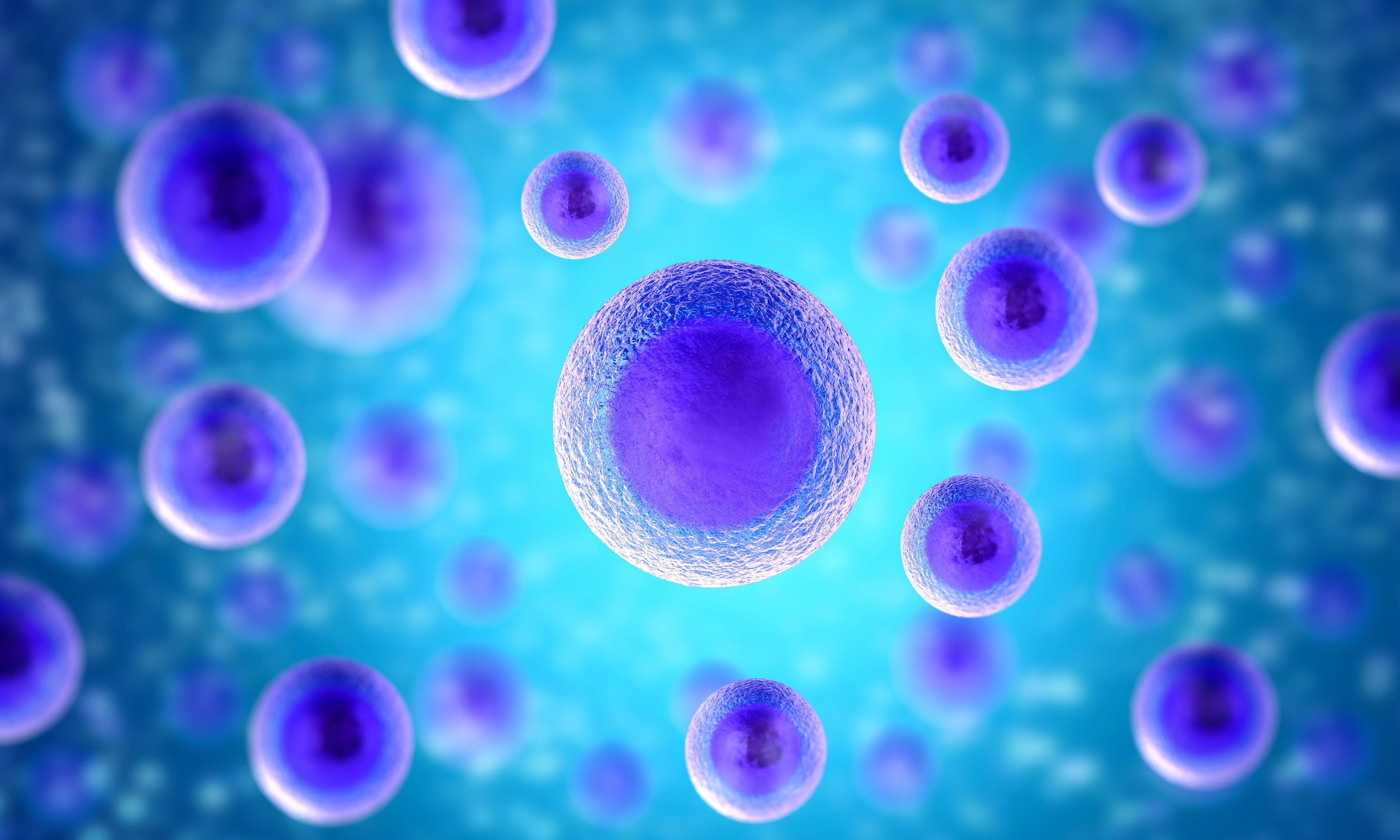 Can You Get Quick Results with Regenerative Medicine in Myrtle Beach, SC
