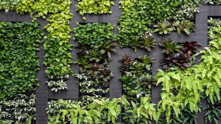 How Indoor Plants in Miami Can Improve Your Office Environment