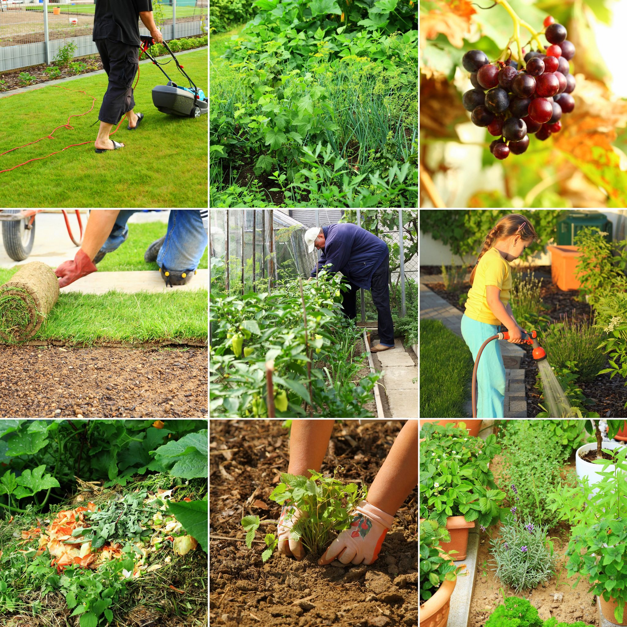 Improve The Way That Your Property Looks With Landscaping Company In Fresno CA