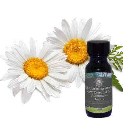 3 Oils Your Diffuser Can Heat in Your Phoenix Home for Better Health