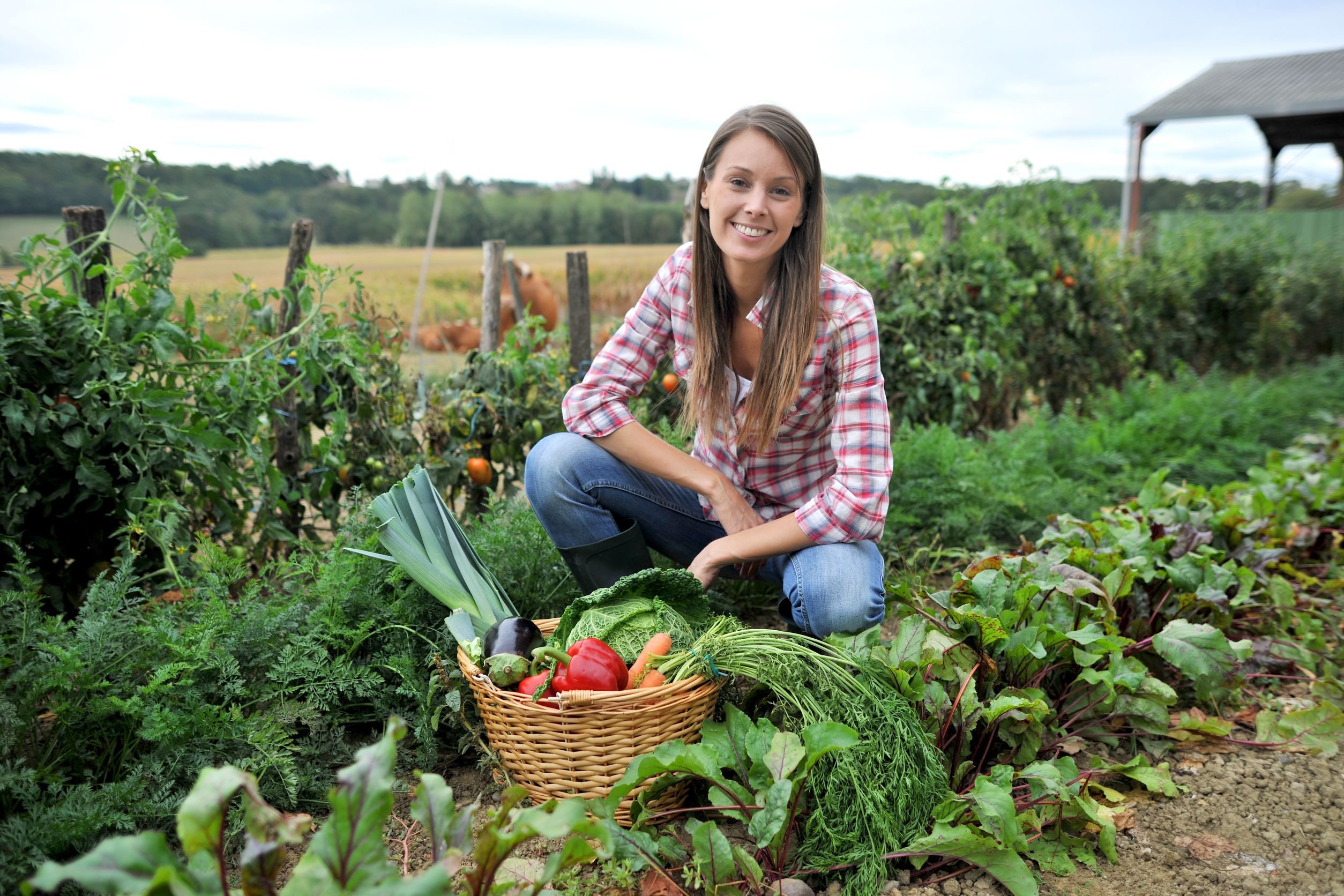 5 Easy-to-Grow Vegetables for Beginners