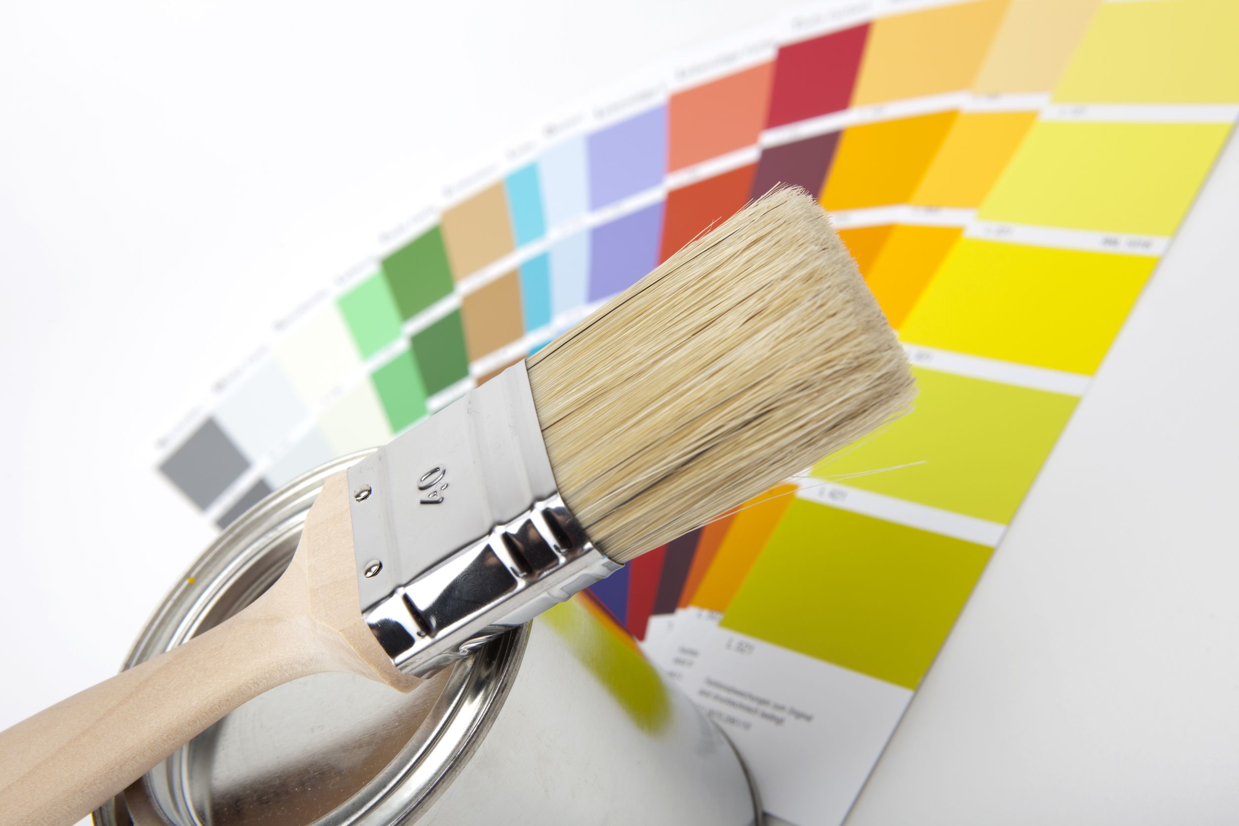 A Local Business Offers All of The Best Benjamin Moore Colors in Mississauga, ON