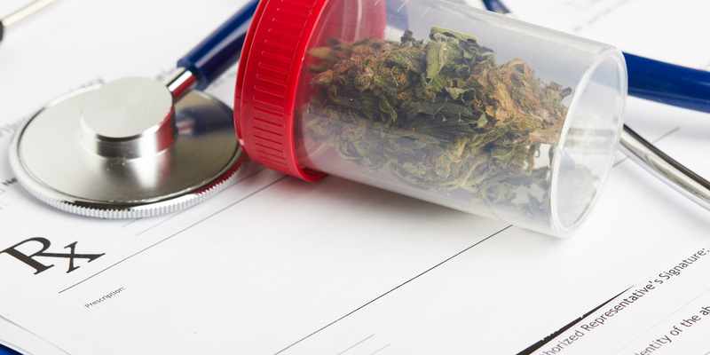 Why More People Are Shopping at a Cannabis Dispensary in Albuquerque NM