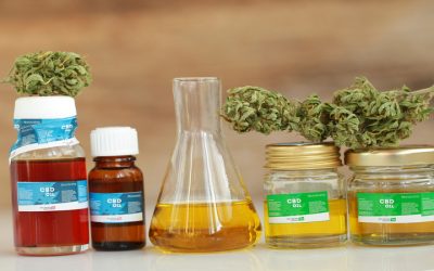 Advantages of Dispensary Internet Marketing for Your Cannabis Business