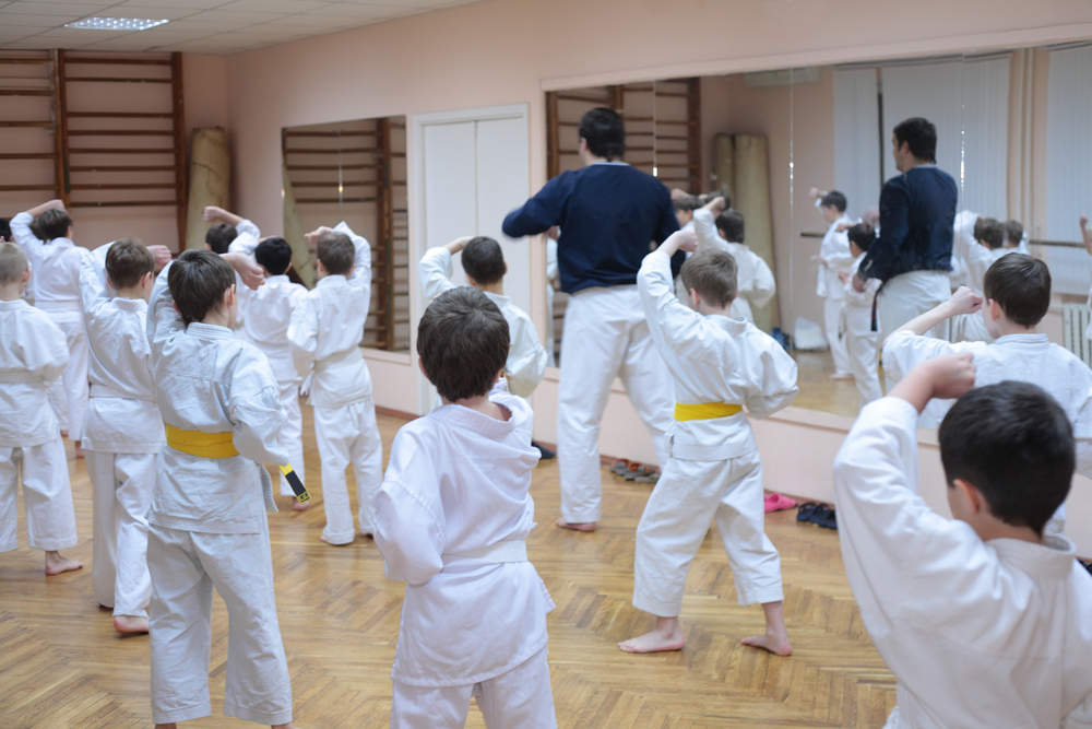 Fitness, Fun, Martial Arts Training: Join Asheville, NC Summer Camps