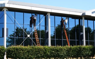 Four Signs That Your Temecula Window Screens Need To Be Replaced