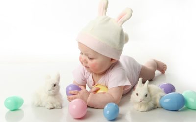 Adorable Treasures: Cute Plushies in Houston, TX