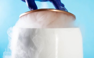 You Can Get Professional Help with Cryogenic Product Freezing Today
