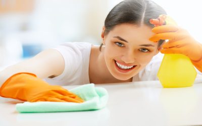 Maid Services in Maple Grove, MN: What to Expect