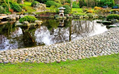 Mastering the Art of Stone Wall Installation in Denver, CO: Enhancing Your Landscape with Timeless Beauty