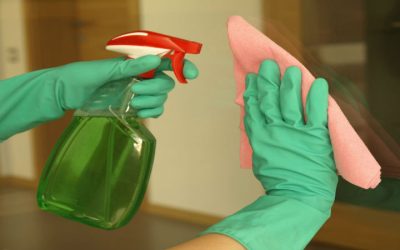 The Key to a Healthy Lifestyle: Home Cleaning in Holland, MI