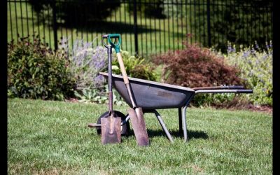 Landscaping Maintenance in Sarasota, FL: Comprehensive Care For Stunning Outdoor Spaces