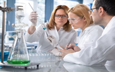 Exploring What Is SOA Test: Unveiling Its Importance in IT