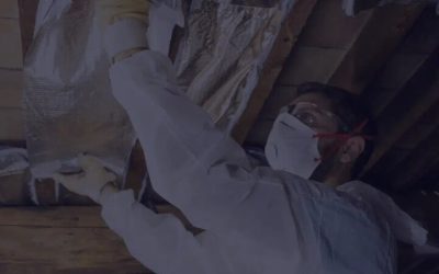 Mosquito Control Near Peachtree City, GA: Restore Comfort to Your Outdoors with Strategic Mosquito Management Services