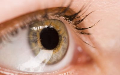 Macular degeneration Delray Beach guide: Preventative steps and treatment options for healthy vision