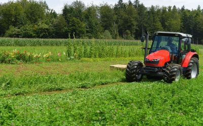 Find the Best Value and Selection with Tractors For Sale Corpus Christi TX Listings