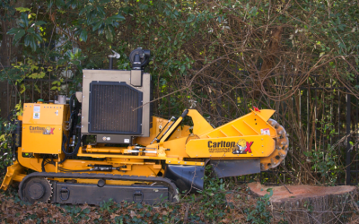 Enhance your property’s curb appeal with stump grinding services that Senoia, GA, residents trust