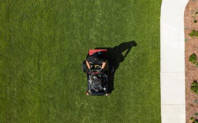 Protect Your Family From Bites With Effective Mosquito Control in Germantown, TN Solutions