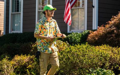 Prevent backyard bites with trusted mosquito control companies near Gainesville VA, for safer outdoor spaces