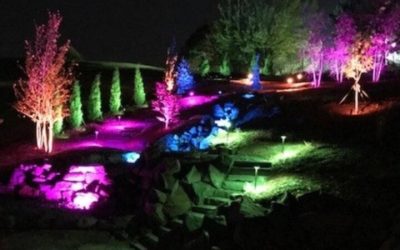 Keep your yard beautiful with professional landscape maintenance near Gretna, NE, for lasting curb appeal