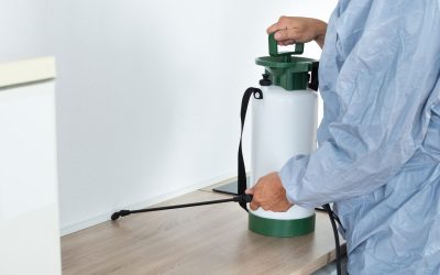 Homeowners Solve Pest Problems Fast with a Pest Control Company Montclair NJ Trusts