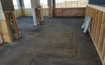 How Water Damage Restoration Services Maple Grove Protect Your Home From Costly Repairs